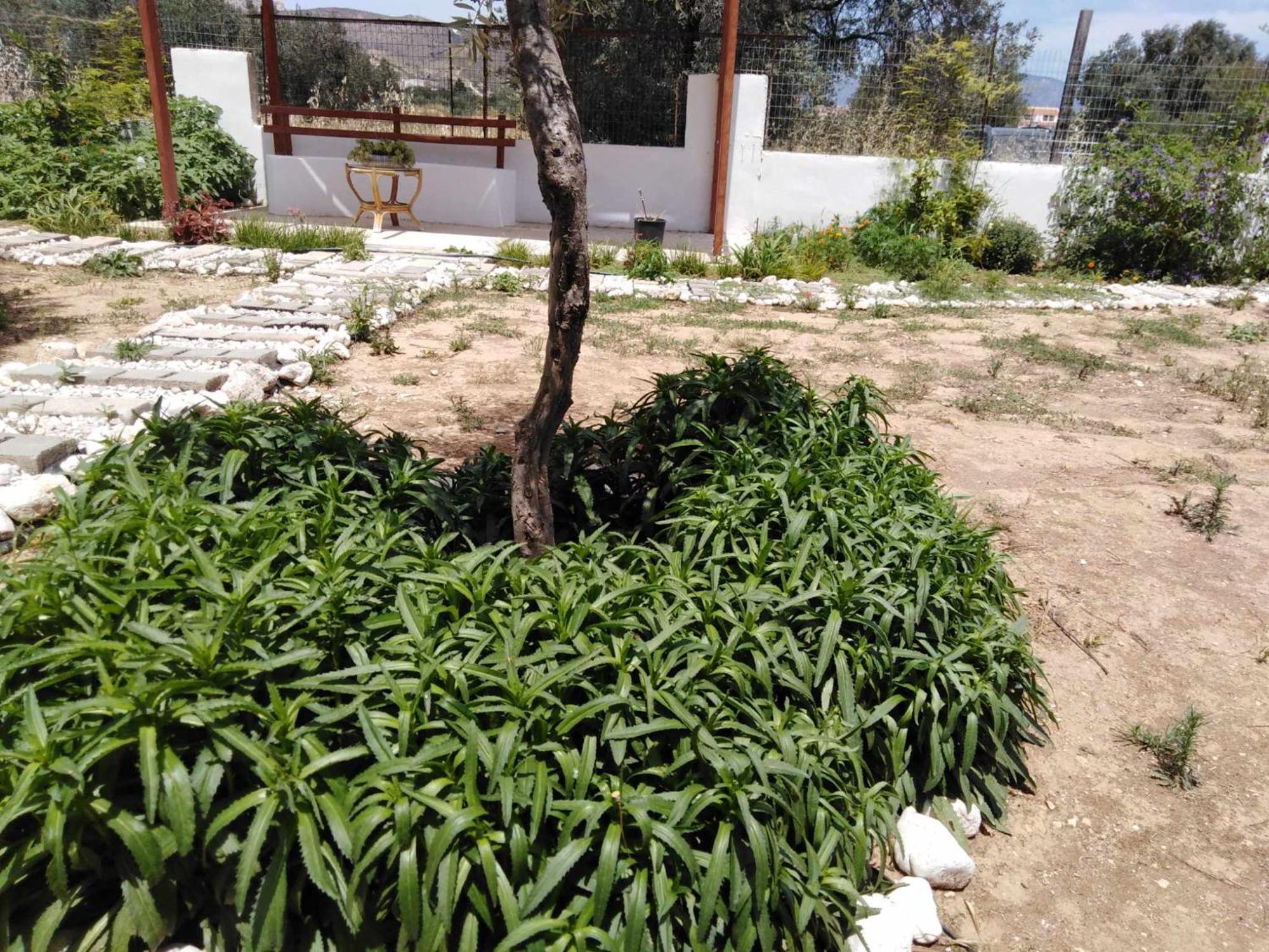شقة Alexadra'S House Κάτω Αλμυρή المظهر الخارجي الصورة